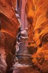 Buckskin Gulch IV