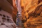 Buckskin Gulch V