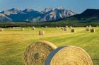 Waterton Hay Bales