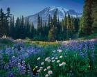 Mount Rainier