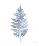 Fern Print I Blue No Shiplap