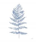 Fern Print II Blue No Shiplap