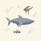 Ocean Life Shark