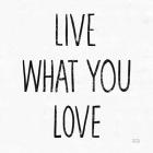 Live What You Love Sq BW