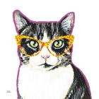 Bespectacled Pet III