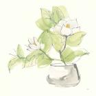 Plant Magnolia I