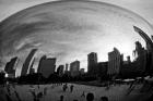 The Bean Chicago BW