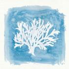 Water Coral Cove VI