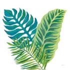 Coconut Palm VI
