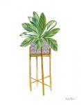 Green House Plants I