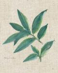 Bay Leaf on Burlap