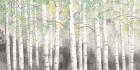 Soft Birches Charcoal