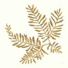 Gilded Fern II