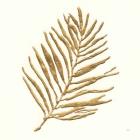 Gilded Palm V