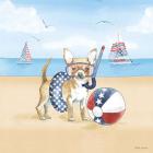 Summer Paws Patriotic II