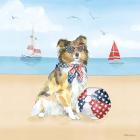 Summer Paws Patriotic V