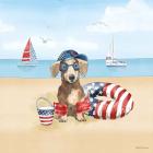 Summer Paws Patriotic III