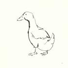Line Duck I