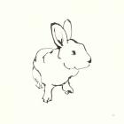Line Bunny II