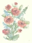 Camellia Bouquet II
