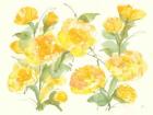 Sunshine Peonies