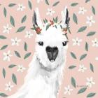 Delightful Alpacas I Floral Crop