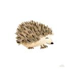 Woodland Whimsy Hedgehog