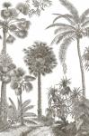 Palm Oasis I