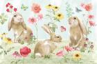 Sweet Bunnies I