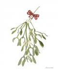 Peace and Joy Mistletoe