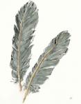 Gold Feathers IV on Grey