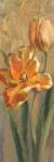 Parrot Tulips on Gold I