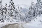 Mount Baker Highway I