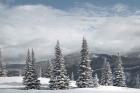 North Cascades in Winter II