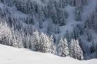 North Cascades in Winter III