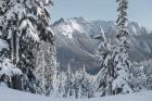 Nooksack Ridge in Winter