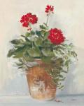 Potted Geraniums II Light