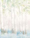 Soft Birches III