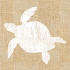 Driftwood Coast III White Burlap