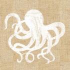 Driftwood Coast IV White Burlap