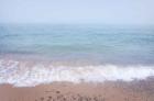 Whitefish Point Beach