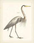 Vintage Heron I