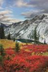 Lake Ann North Cascades