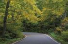 Smugglers Notch Road