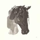 Horse Portrait I