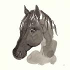 Horse Portrait II