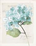 Antique Floral I Blue Vintage