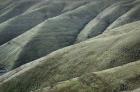 Columbia Plateau Oregon