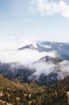 Hurricane Ridge I