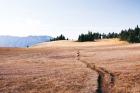Hurricane Hill I
